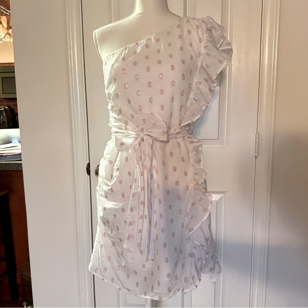 “LOVERS + FRIENDS” X Revolve Whitney Rose Dress - Picture 6 of 16